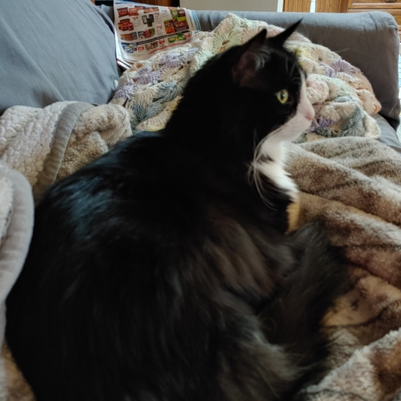 Lazy TV day๐๐บ ๐ - Picture 2 of 16